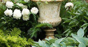 french garden planters