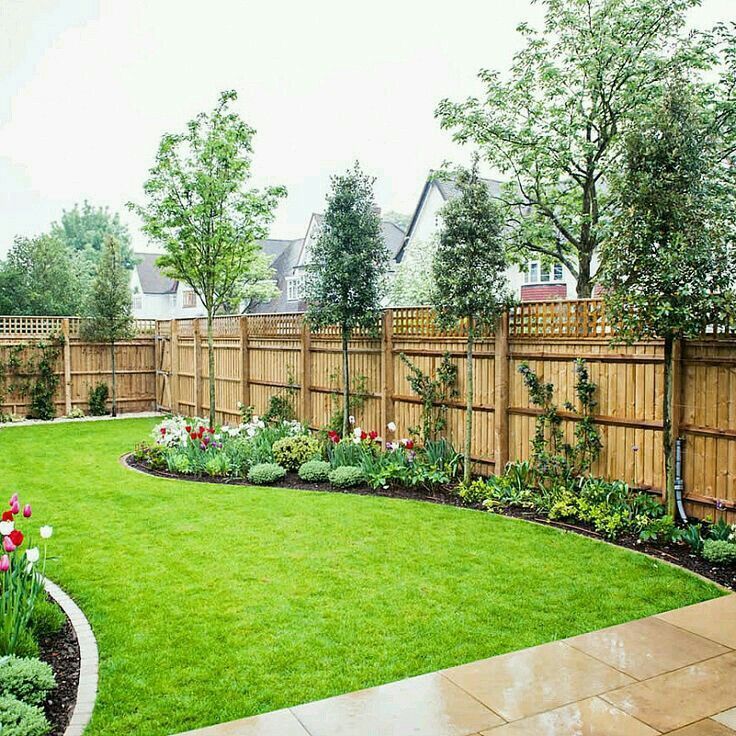 Easy Ways to Beautify Your Backyard Along the Fence