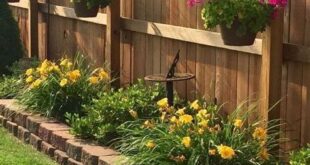 simple backyard landscaping along fence