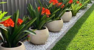 simple garden ideas