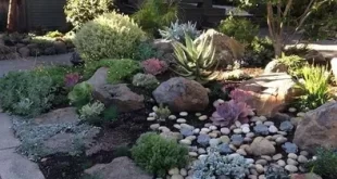 backyard ideas low maintenance