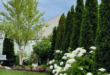 simple backyard landscaping along fence