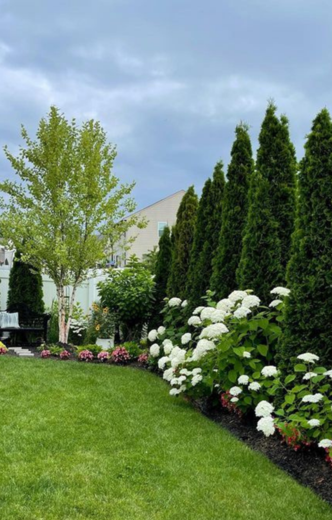 simple backyard landscaping along fence