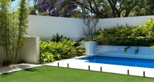 backyard ideas simple