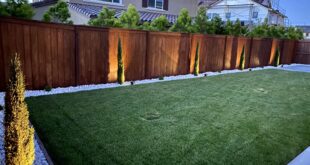 backyard ideas simple