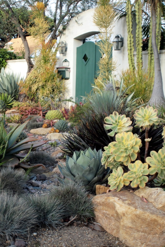 Efficient landscaping with xeriscaping: The smart way to create a sustainable garden.