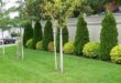 simple backyard landscaping along fence