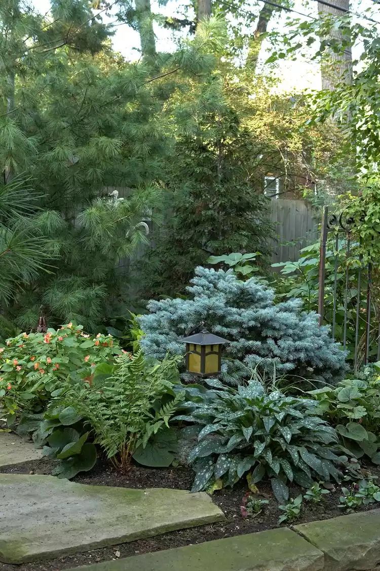 Effortless Front Yard Landscaping: Achieving a Low Maintenance Design