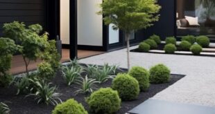 low maintenance landscaping front yard