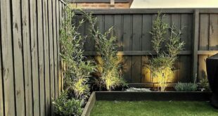 simple garden ideas