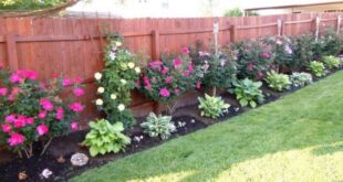 simple backyard landscaping along fence