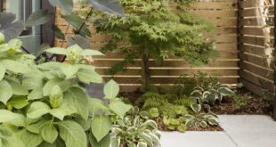 backyard ideas low maintenance