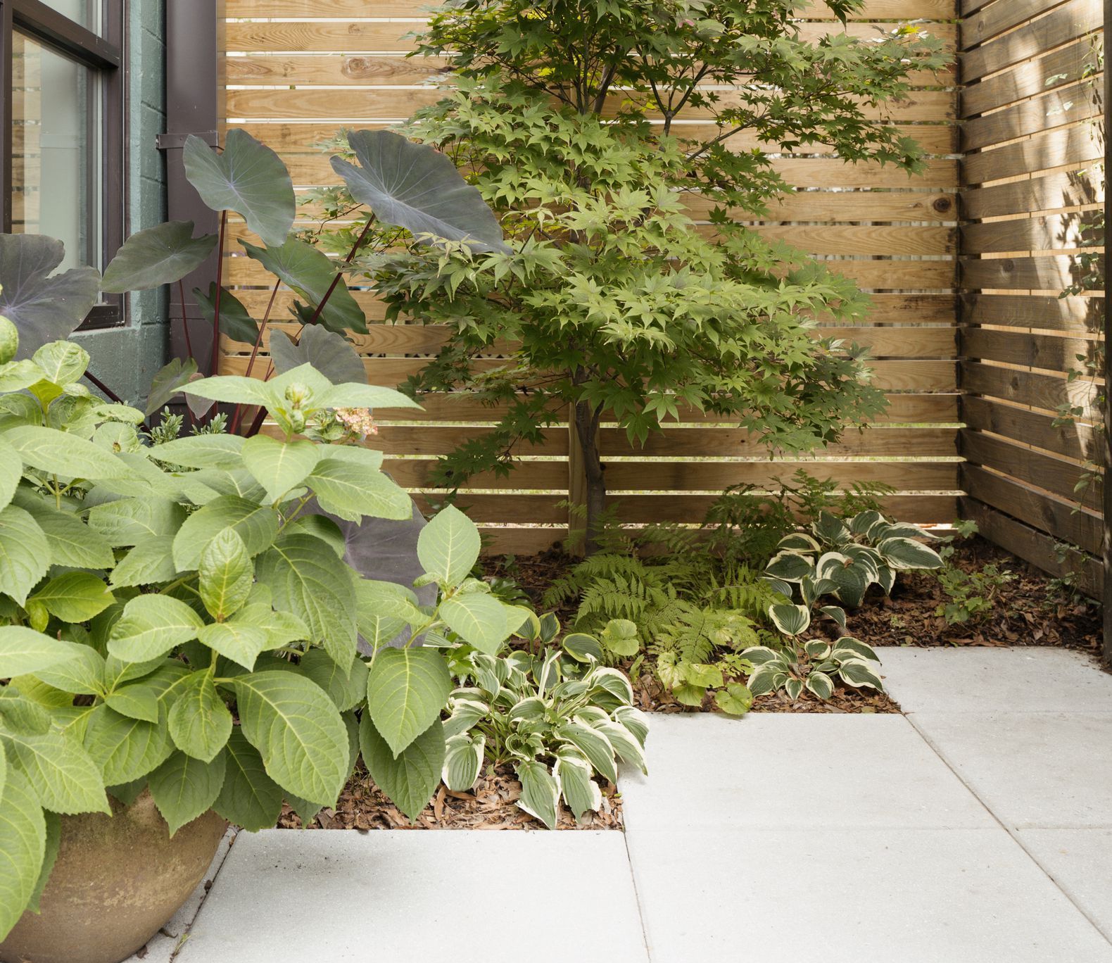 Effortless Ways to Create a Low-Maintenance Backyard