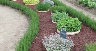 easy garden ideas