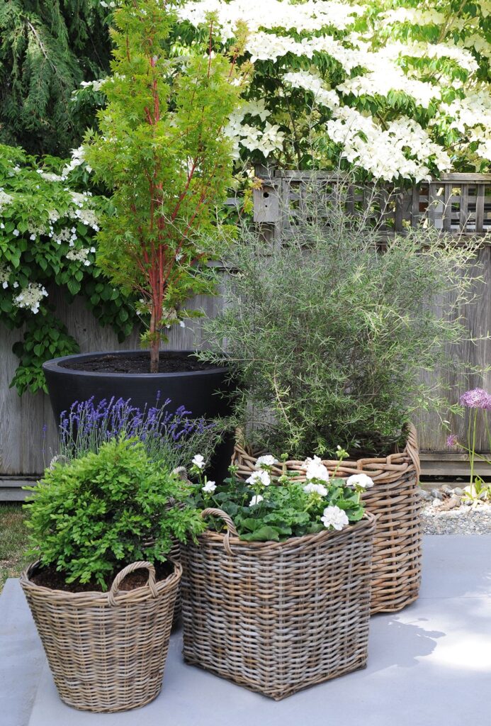 french garden planters