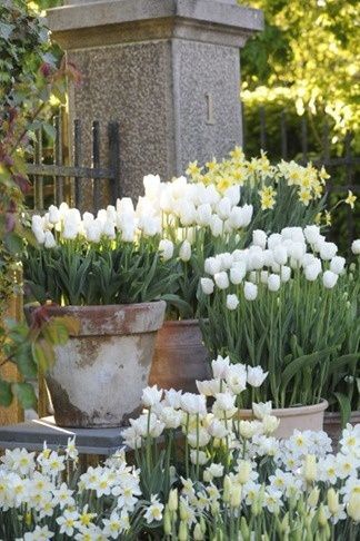 Elegant French Garden Planters: Adding a Touch of Sophistication to Your Outdoor Space