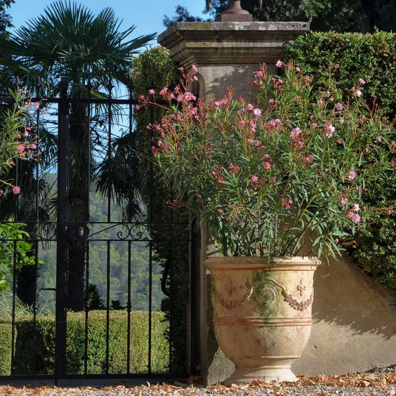 Elegant French Garden Planters for Your Outdoor Space