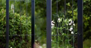 metal garden arches