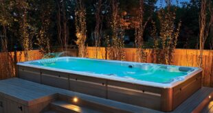 swim spa deck ideas