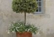 french garden planters