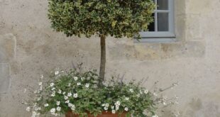 french garden planters