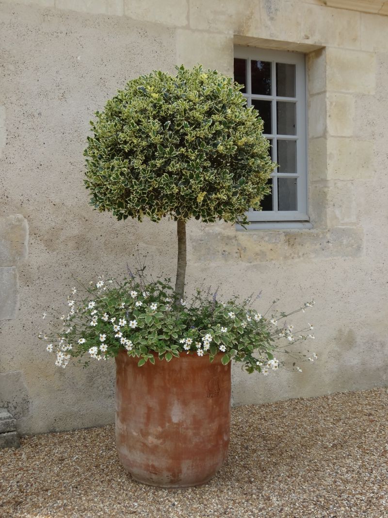 Elegant and Stylish French Garden
Planters: A Touch of Parisian Charm for Your Outdoor Space