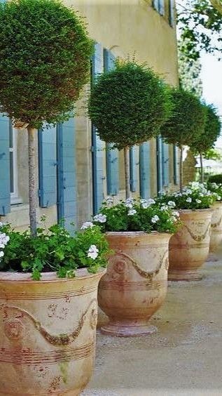 Elegant and Timeless French Garden Planters for Your Outdoor Space