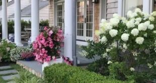 front yard landscaping ideas