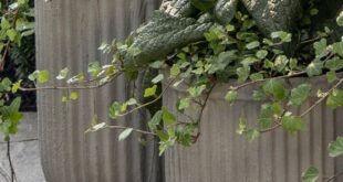 garden planter concrete