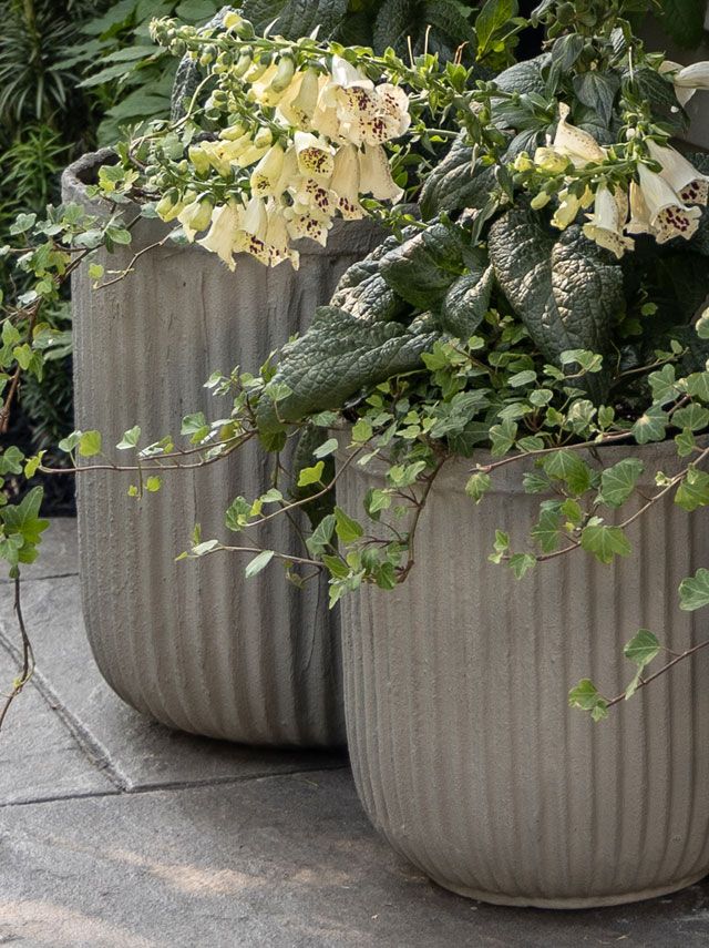 garden planter concrete