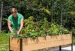 garden planter stand