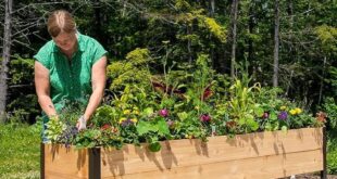 garden planter stand