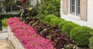 raised flower beds in front of house