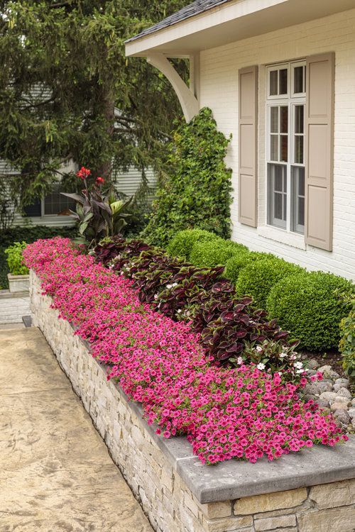 Elevated Flower Beds: A Stunning Addition to Your Front Yard