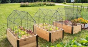 raised garden bed ideas