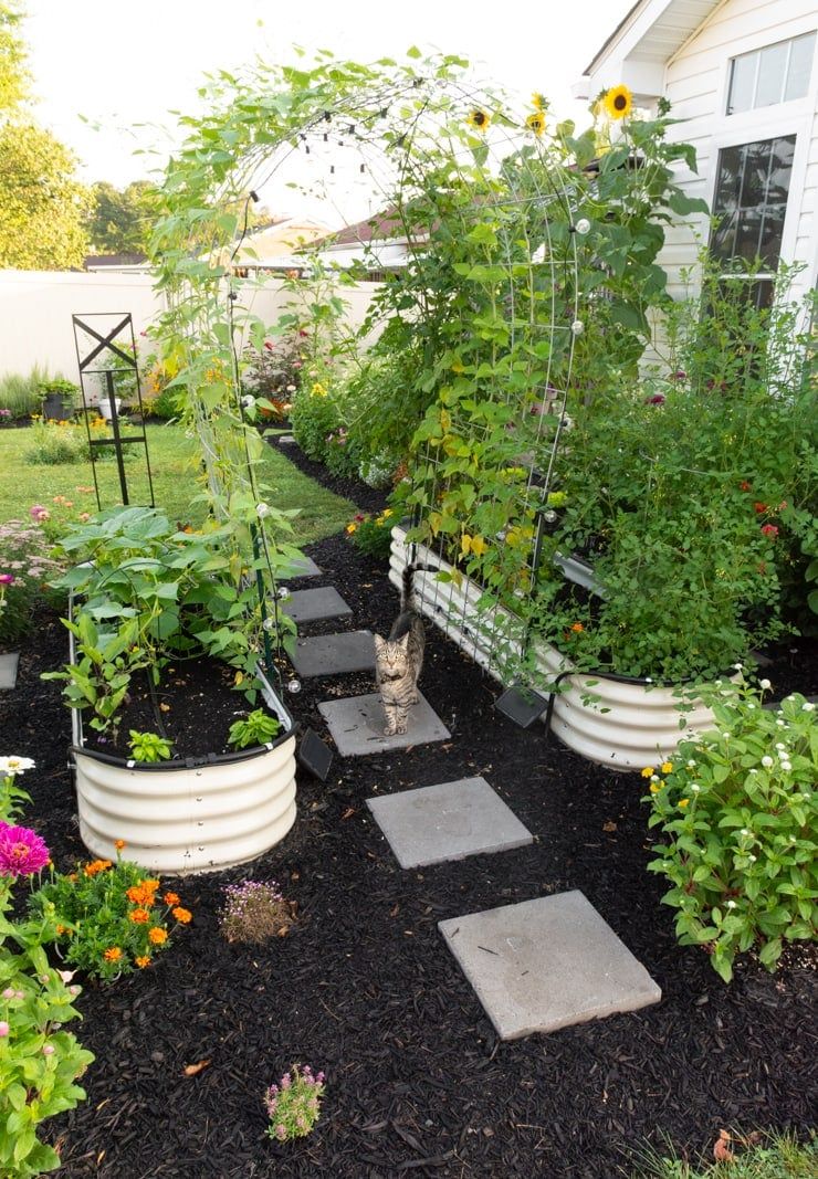 Elevated Garden Beds: A Guide to Creating Your Own at Home