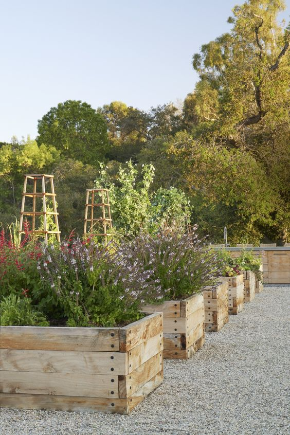 Elevated Garden Beds: A Pragmatic and Green Solution for Homegrown Food