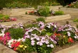 raised flower beds in front of house