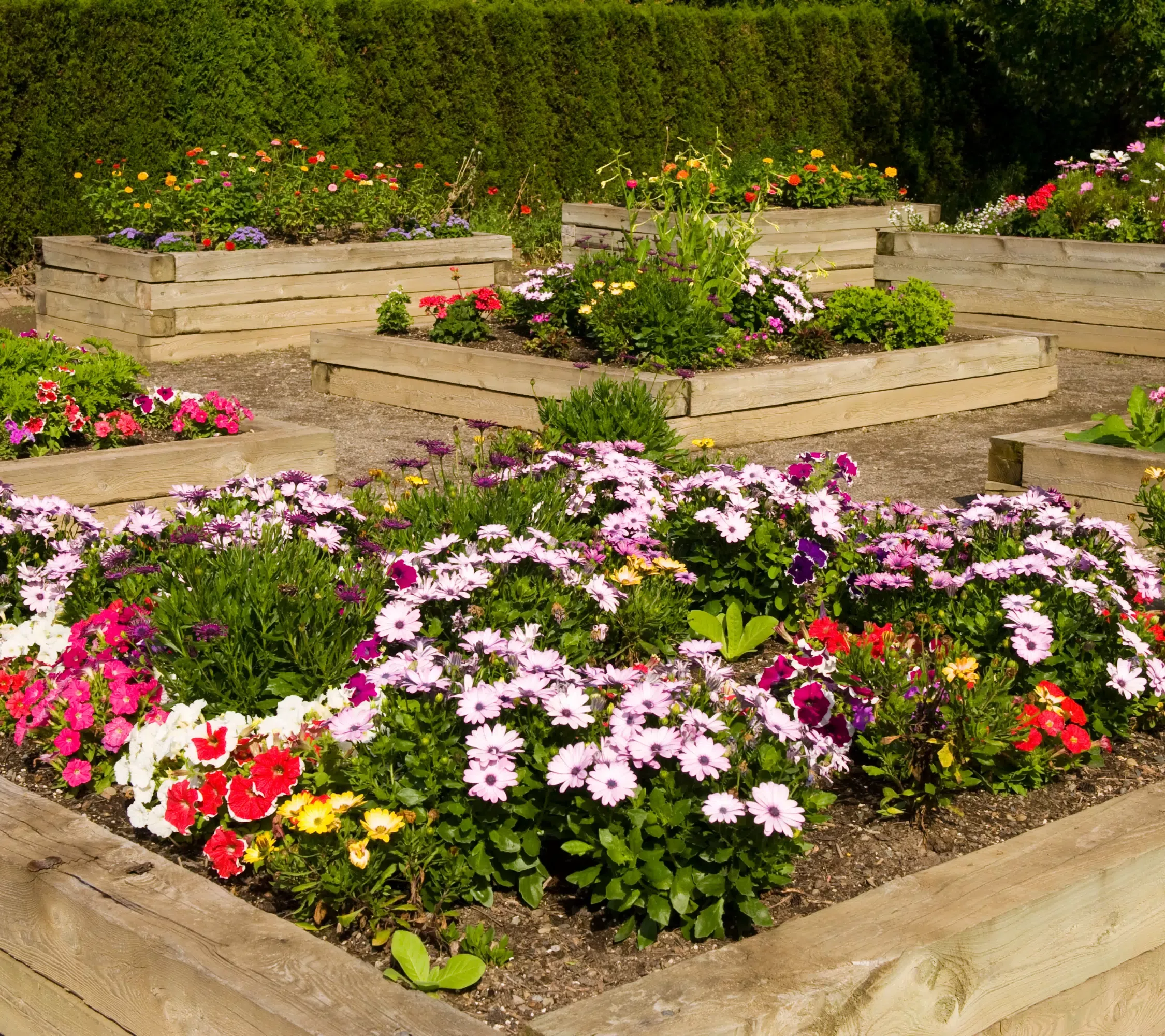 Elevated Garden Beds: An Eye-Catching Addition to Your Front Yard