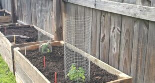 pallet raised garden bed