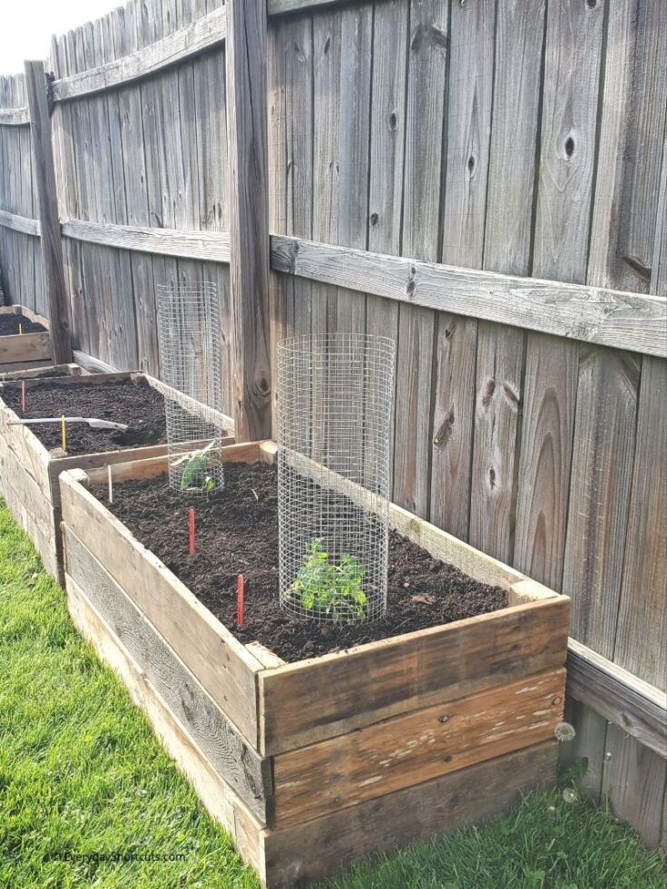 Elevated Garden Beds Made from Pallets: A Sustainable Solution for Your Outdoor Space