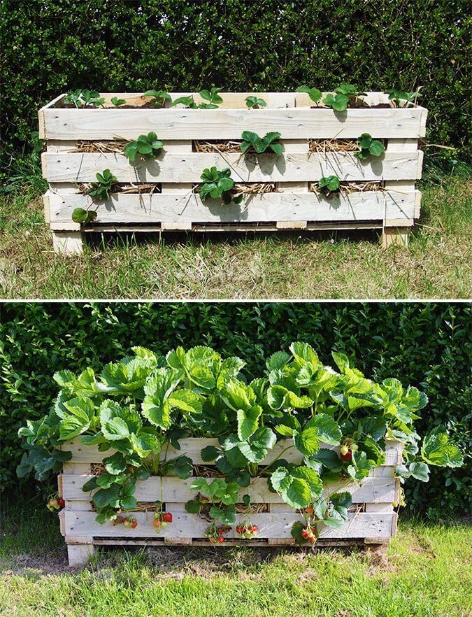 pallet raised garden bed