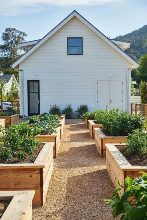 Elevated Garden Beds: The Ultimate Solution for Growing Fresh Vegetables