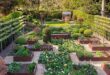 raised bed garden