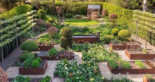 raised bed garden