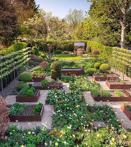 Elevated Garden: The Benefits of Raised Bed Gardening