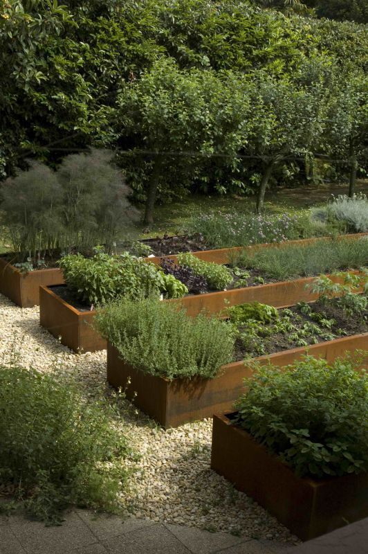 Elevated Gardening: A Fresh Approach to Growing Your Own Produce