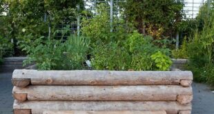 raised bed gardens