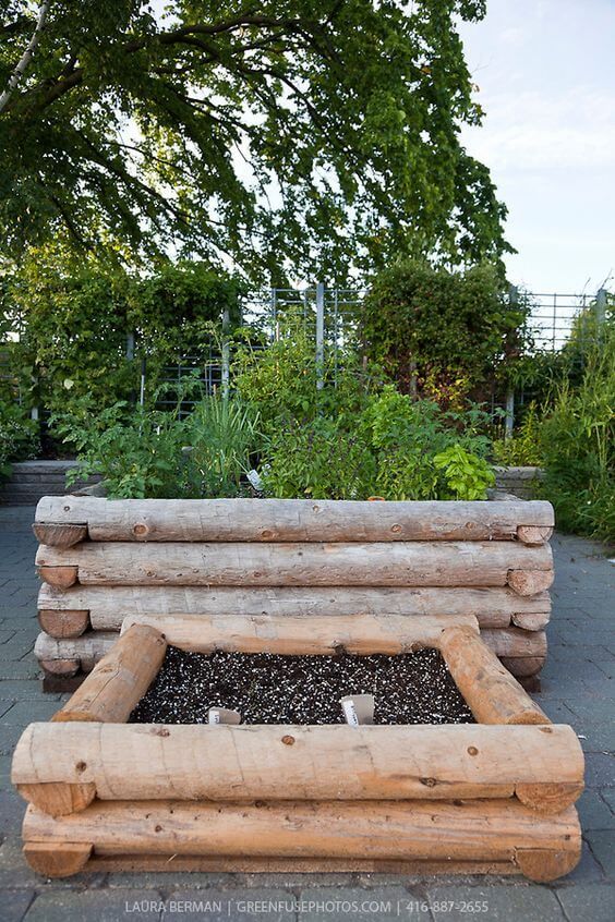 Elevated Gardening: A Guide to Raised Bed Gardens