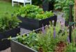 raised planter vegetable garden